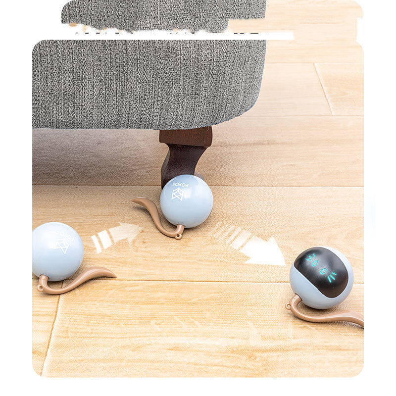 Baby Lane FOS Magic Ball: Interactive Electric Teaser for Cats!