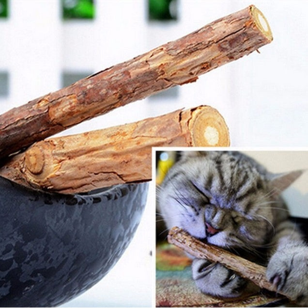 Baby Lane Catnip Chew Toys: 5 PCS Matatabi Set for Joyful Kittens