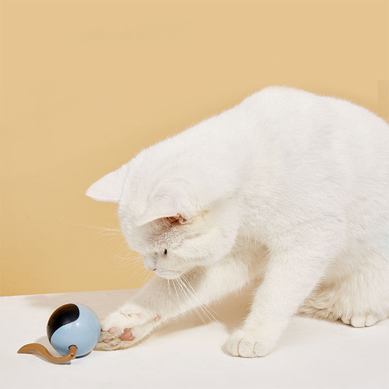 Baby Lane FOS Magic Ball: Interactive Electric Teaser for Cats!