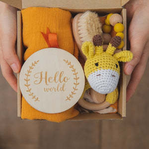 Baby Lane Teething Toys Gift Set: Soothing Teether Toys for Infants