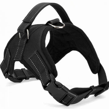 Baby Lane: The Best Saddle-Type Dog Chest Harness for Your Beloved Pet