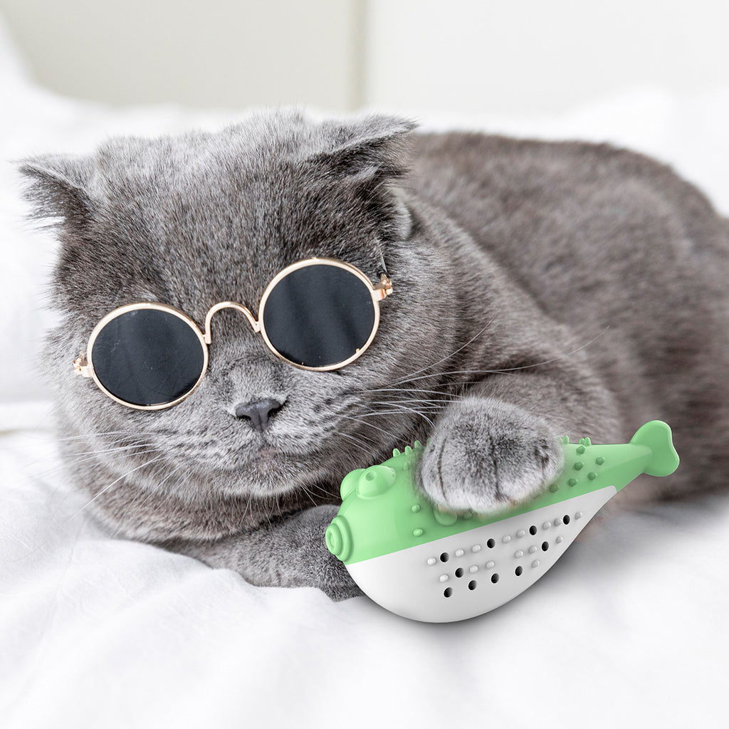 Baby Lane Simulation Fish Cat Toy: Minty Fresh Toothbrush for Cats!