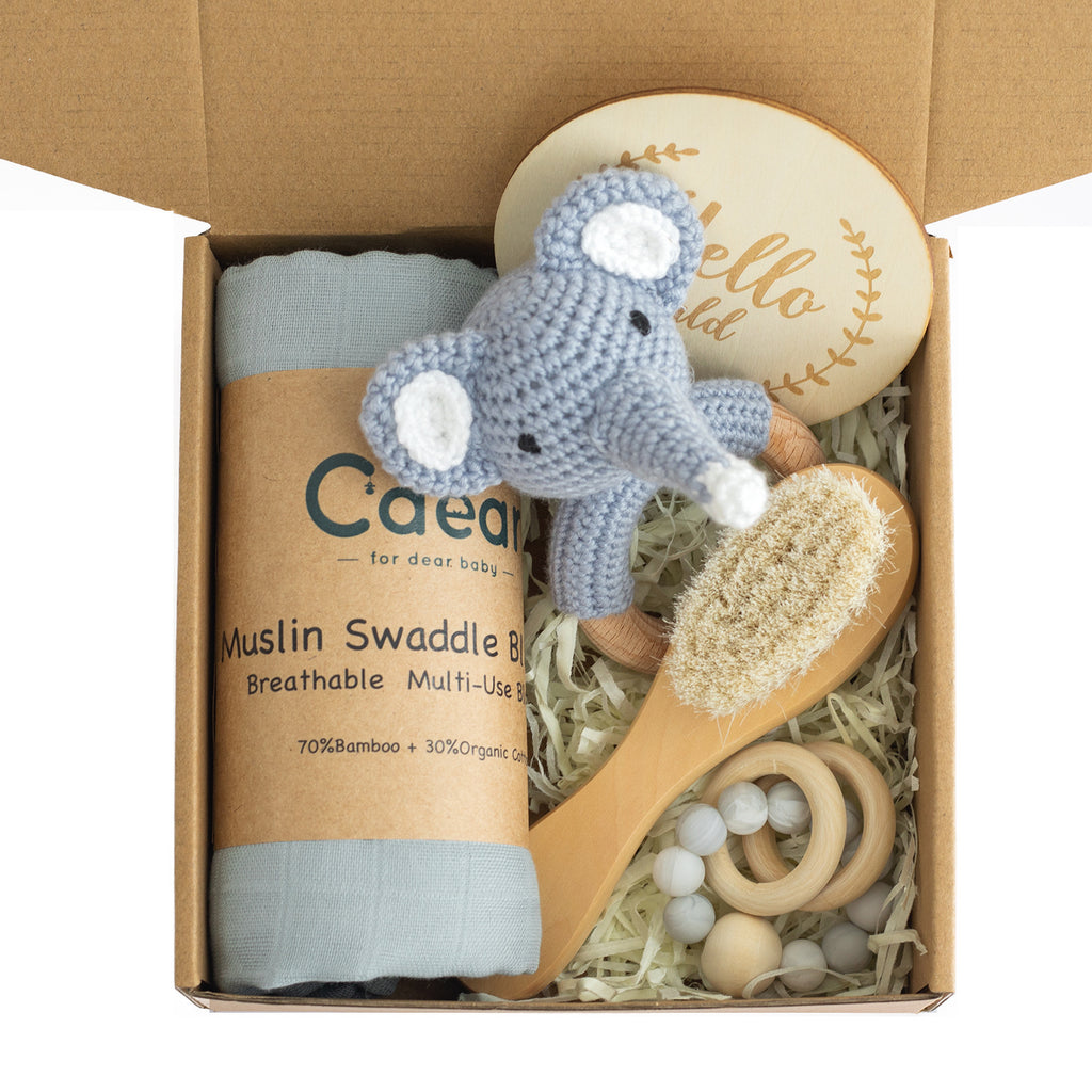 Baby Lane Teething Toys Gift Set: Soothing Teether Toys for Infants