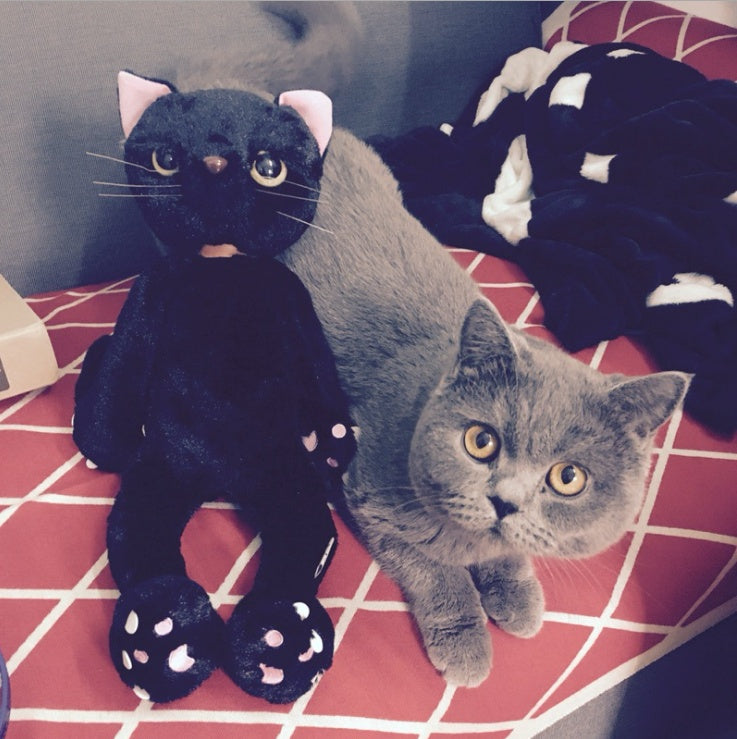 Babylane 60CM Cat Stuffed Toy | Perfect Plush Companion for Kids