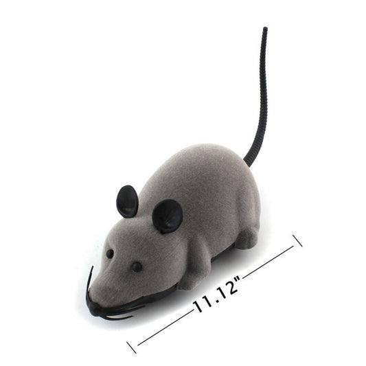 Baby Lane: Explore Our Simulation Remote Control Tricky Mouse, Spider, and Lizard Toys