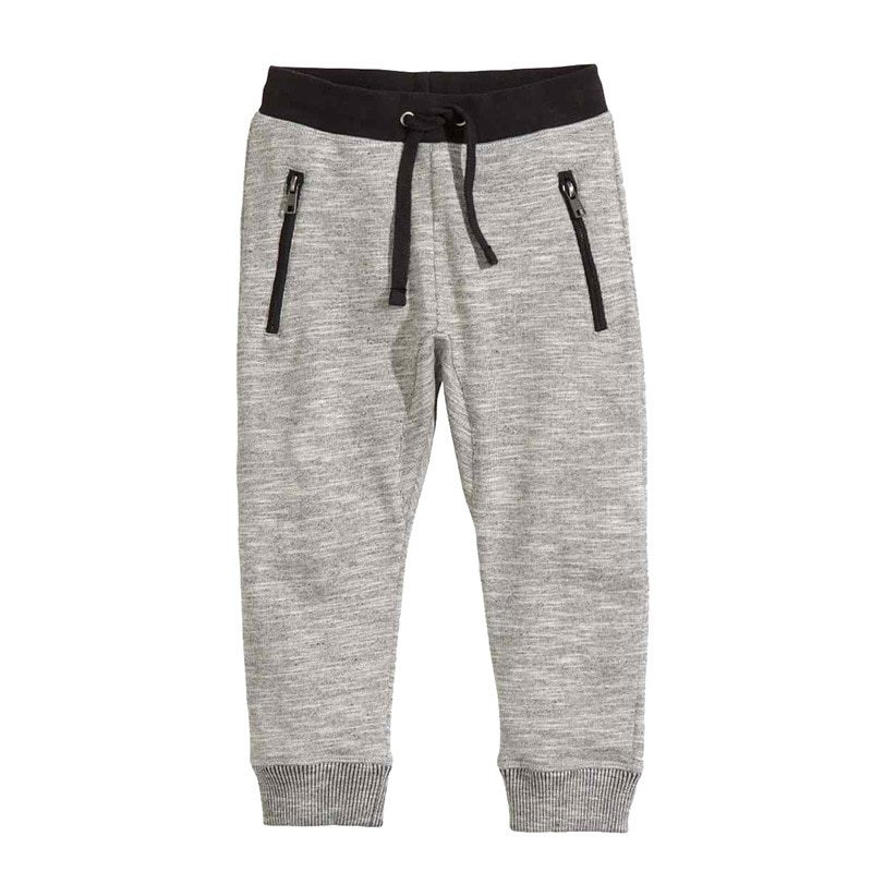 Babylane Kids Boys Clothing Set: Casual 2-Piece Cotton Suit for Spring & Autumn