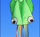 Babylane 4M Octopus Kite with Handle | 3D Power Kite for Outdoor Kids' Games