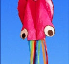 Babylane 4M Octopus Kite with Handle | 3D Power Kite for Outdoor Kids' Games