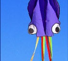 Babylane 4M Octopus Kite with Handle | 3D Power Kite for Outdoor Kids' Games