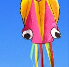 Babylane 4M Octopus Kite with Handle | 3D Power Kite for Outdoor Kids' Games
