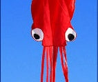 Babylane 4M Octopus Kite with Handle | 3D Power Kite for Outdoor Kids' Games