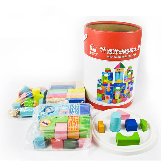 Baby Lane Educational Blocks: Building Toys for Young Minds