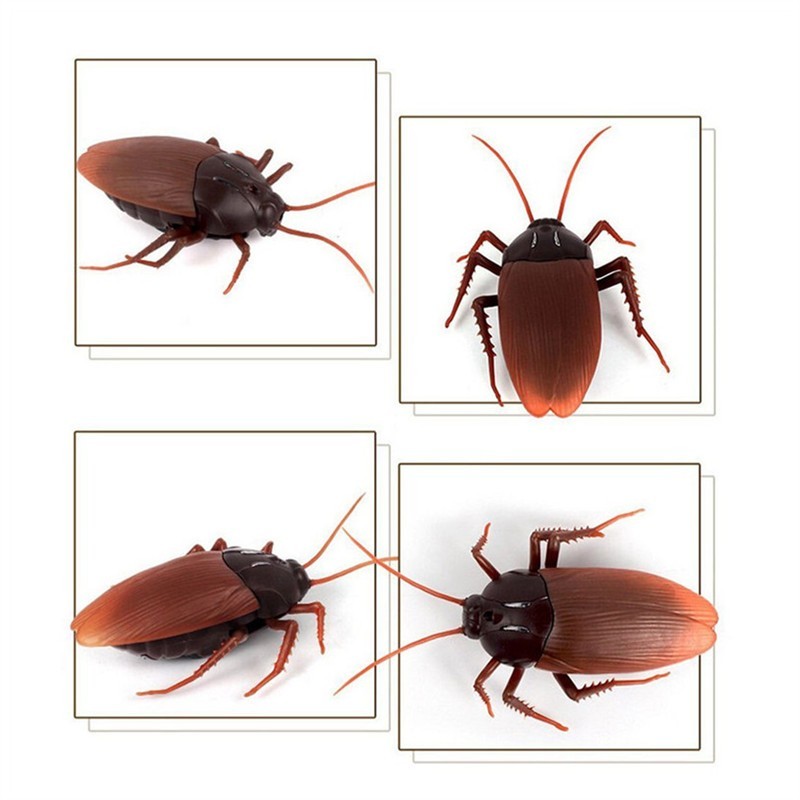 Baby Lane Infrared Remote Control Cockroach Toy: Perfect for Pranks!
