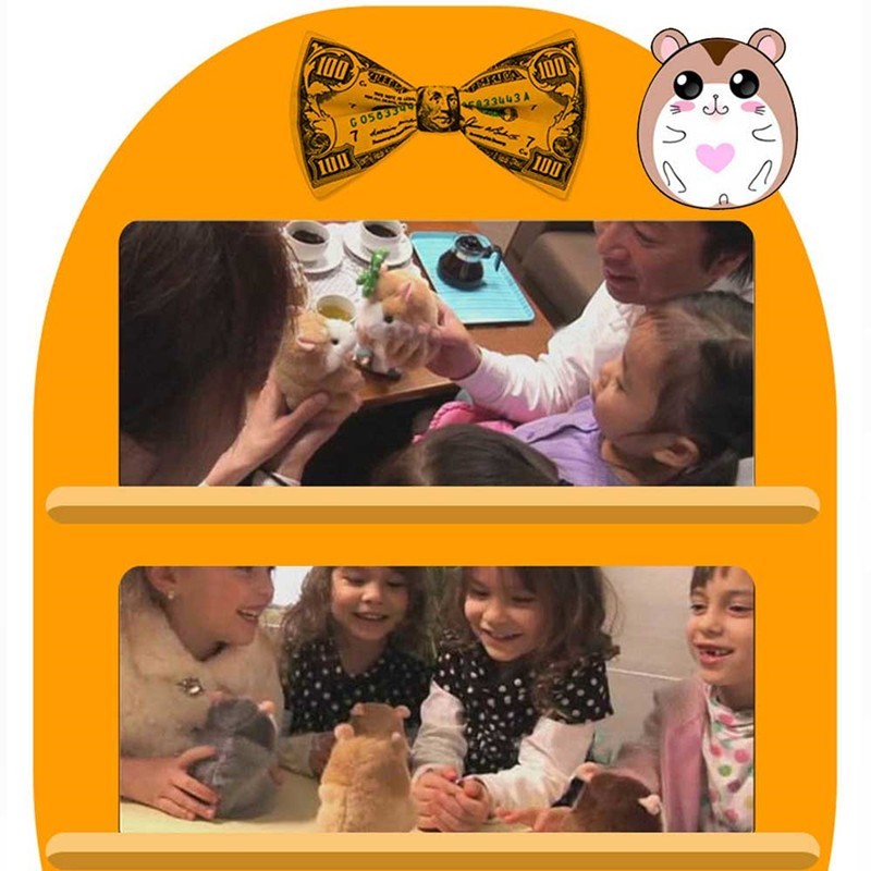 Babylane Little Talking Hamster | 15CM Plush Toy for Kids