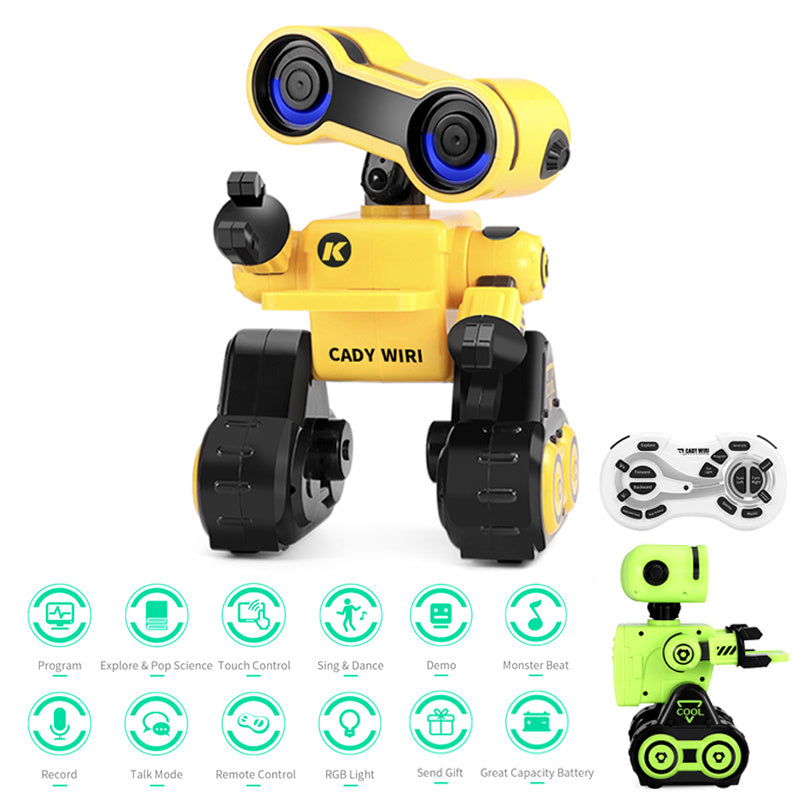 Baby Lane Interactive Remote Control Robot: Perfect for Curious Kids
