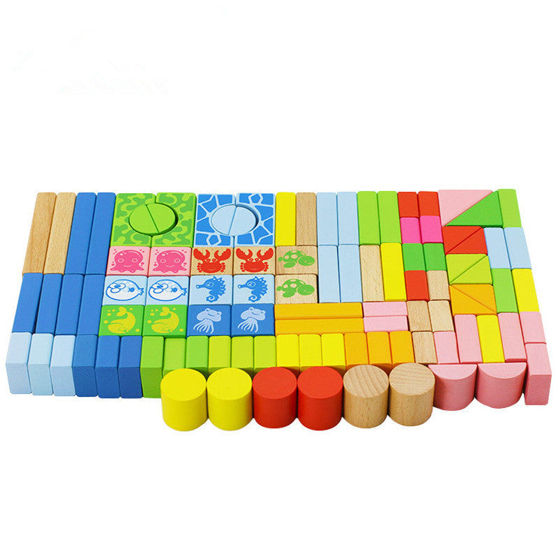 Baby Lane Educational Blocks: Building Toys for Young Minds