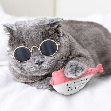 Baby Lane Simulation Fish Cat Toy: Minty Fresh Toothbrush for Cats!
