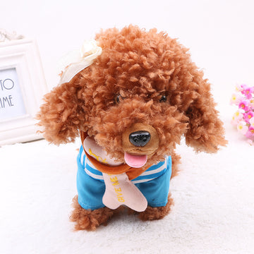 Baby Lane 20 Songs Electronic Walking and Singing Toys for Kids