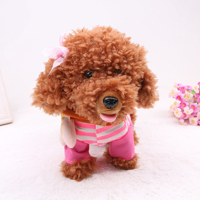Baby Lane 20 Songs Electronic Walking and Singing Toys for Kids
