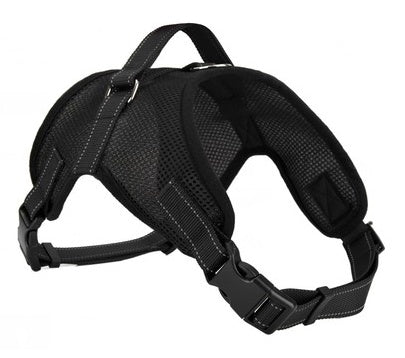Baby Lane: The Best Saddle-Type Dog Chest Harness for Your Beloved Pet