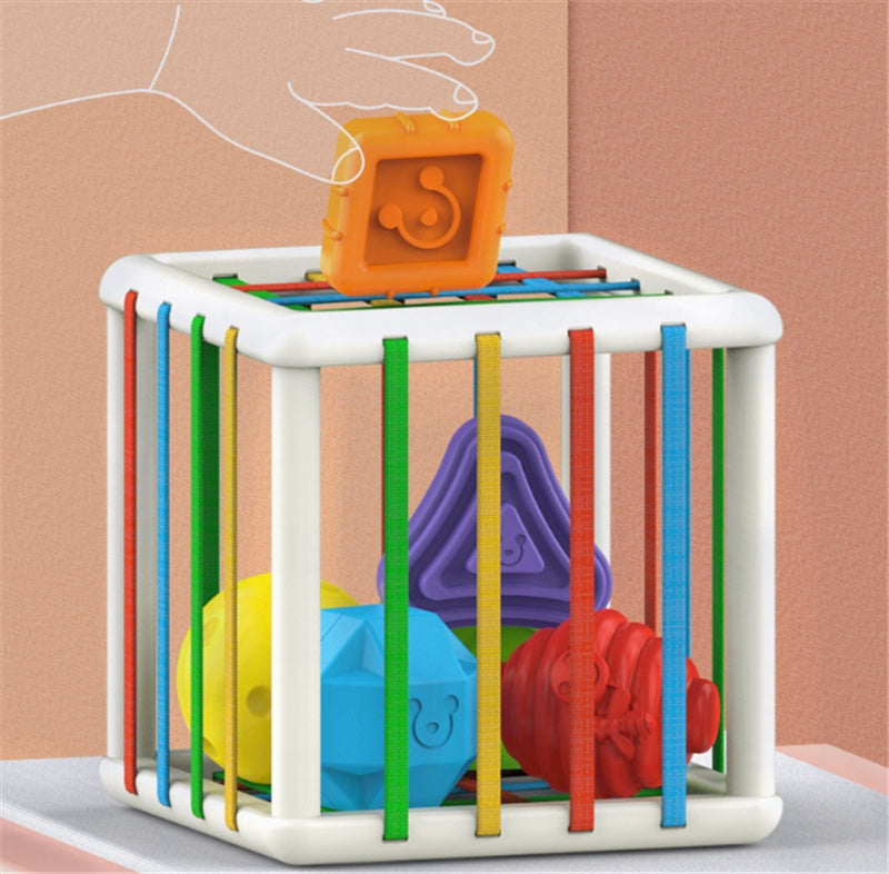 Baby Lane Hand Training Tools: Essential Skills for Infants and Toddlers!