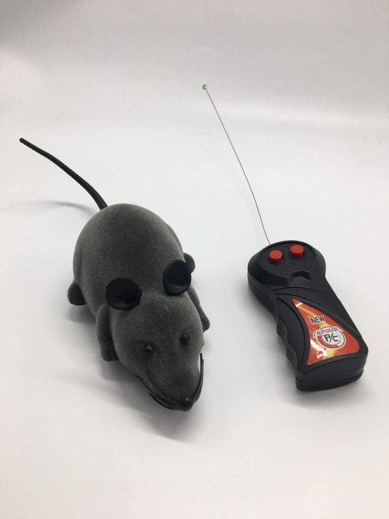 Baby Lane: Explore Our Simulation Remote Control Tricky Mouse, Spider, and Lizard Toys