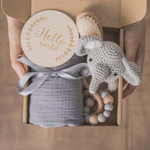 Baby Lane Teething Toys Gift Set: Soothing Teether Toys for Infants