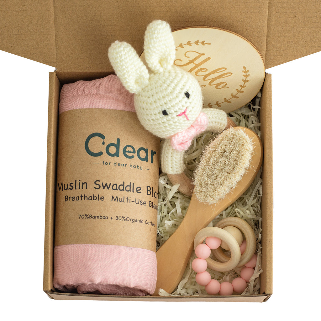 Baby Lane Teething Toys Gift Set: Soothing Teether Toys for Infants