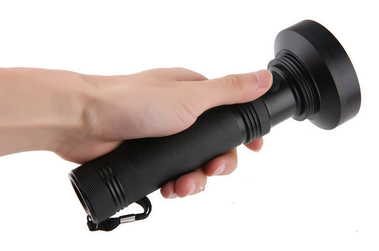Baby Lane: Advanced Violet Fluorescent Agent Detection Flashlight for Precise Testing