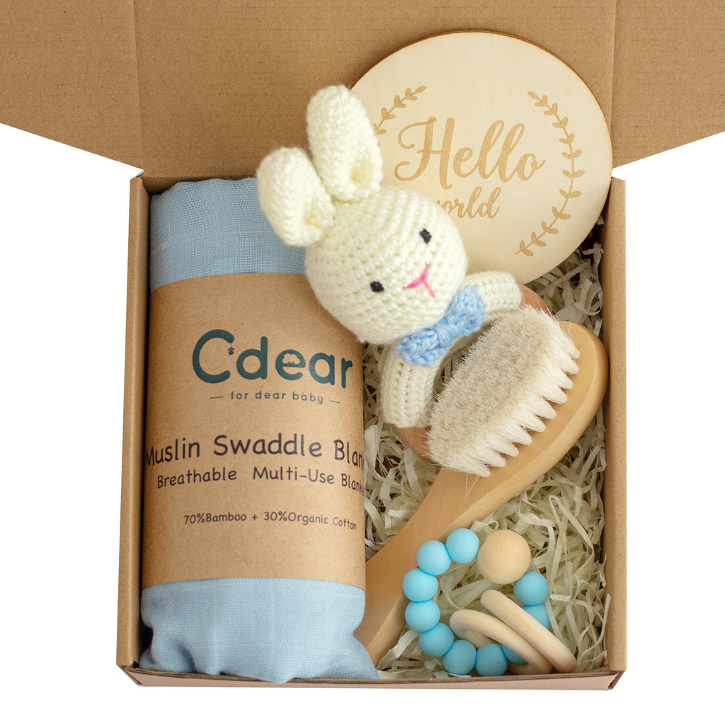 Baby Lane Teething Toys Gift Set: Soothing Teether Toys for Infants
