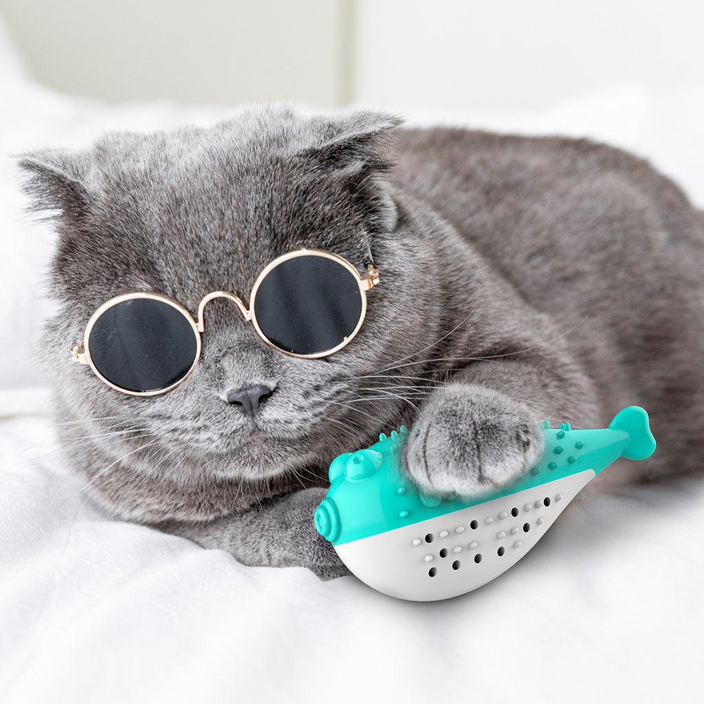 Baby Lane Simulation Fish Cat Toy: Minty Fresh Toothbrush for Cats!