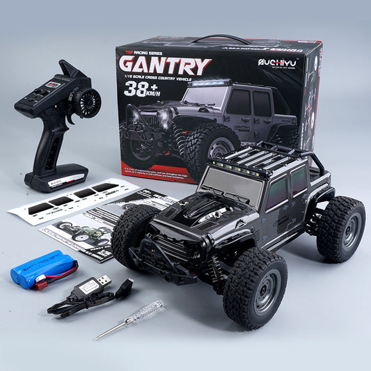Baby Lane Full-Scale Remote Control Car – High-Speed Charging Toy