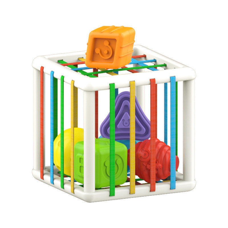 Baby Lane Hand Training Tools: Essential Skills for Infants and Toddlers!