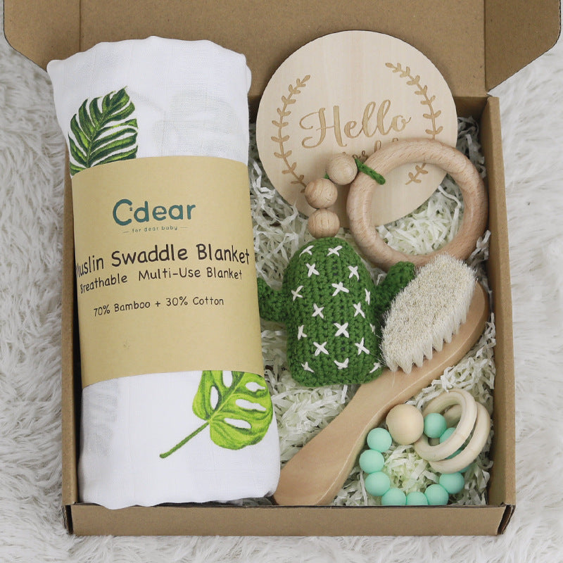 Baby Lane Teething Toys Gift Set: Soothing Teether Toys for Infants