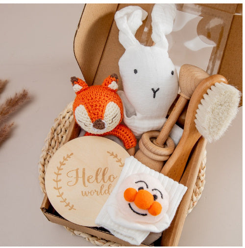 Baby Lane Teething Toys Gift Set: Soothing Teether Toys for Infants