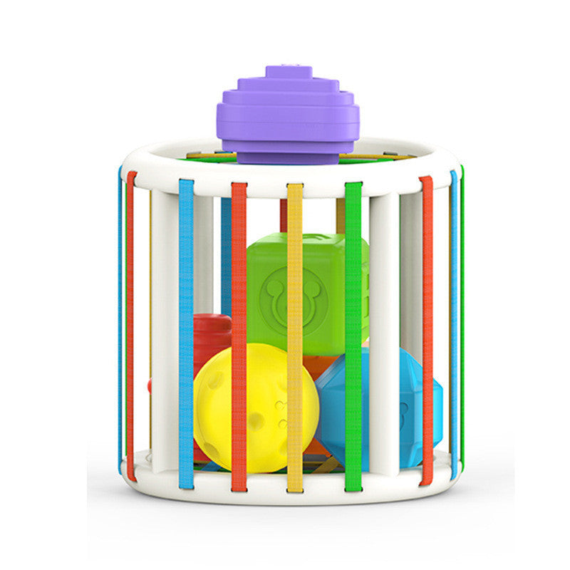 Baby Lane Hand Training Tools: Essential Skills for Infants and Toddlers!