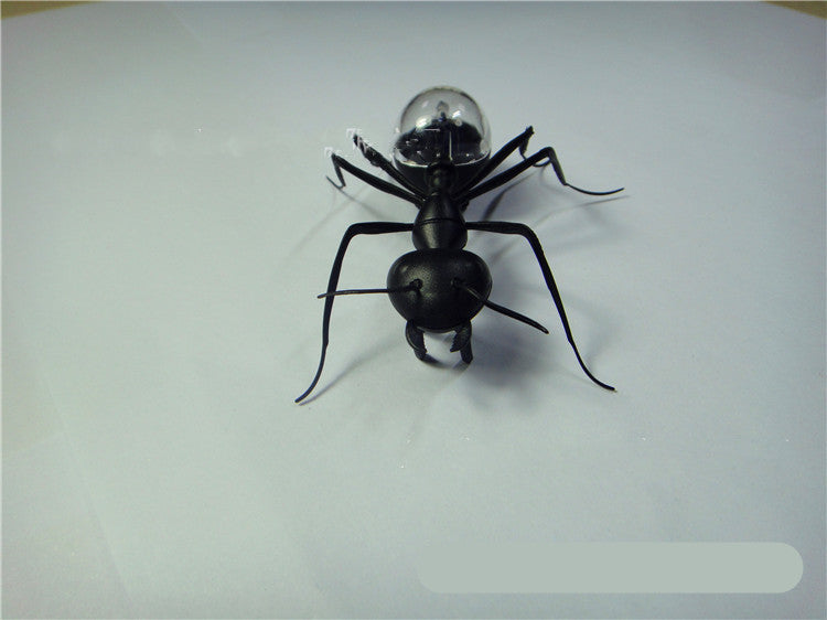 Baby Lane: Discover the Joy of the Solar Ant Baby Electronic Pet Toy