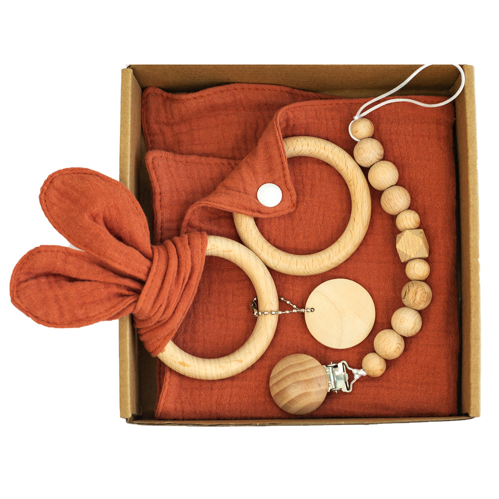 Baby Lane Teething Toys Gift Set: Soothing Teether Toys for Infants